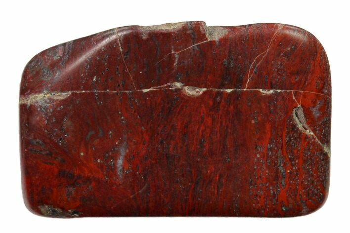 Polished Stromatolite (Collenia) - Minnesota #155590